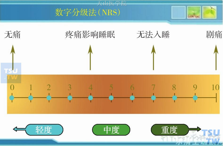 恶液质患者的疼痛护理