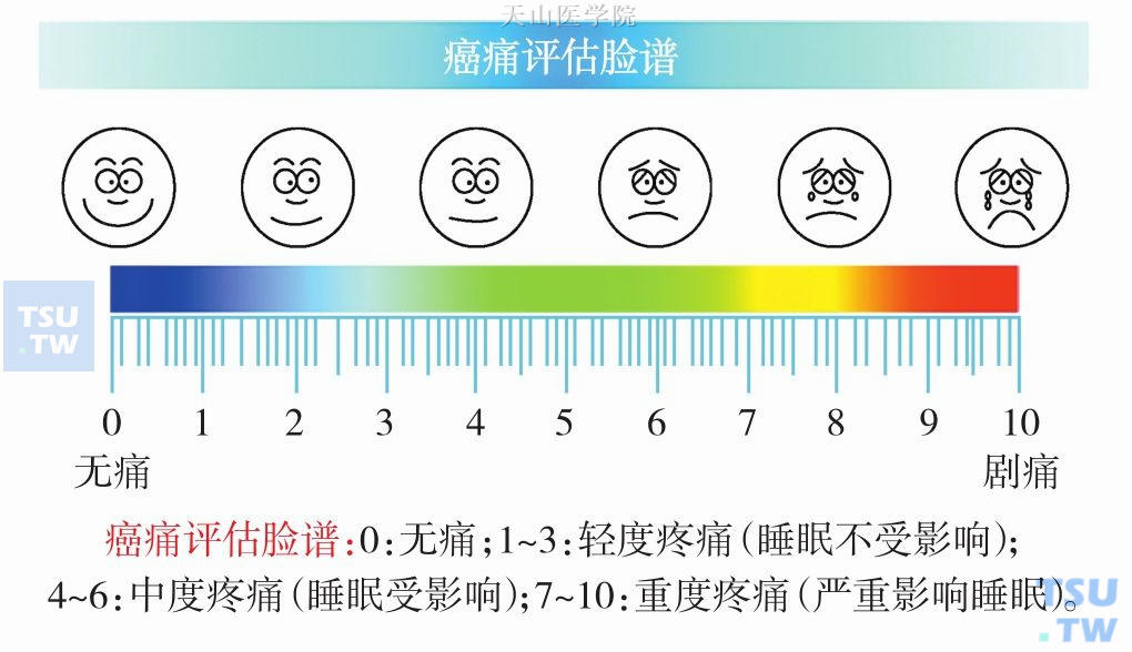 疼痛面部表情量表