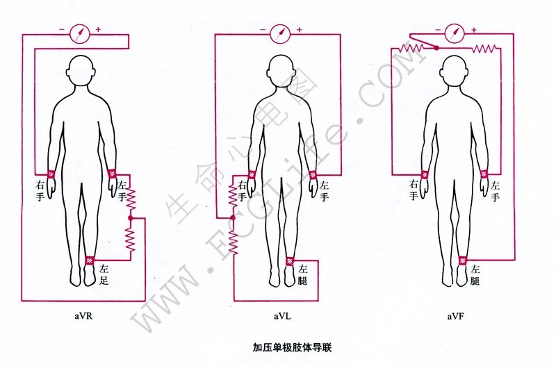 加压单极肢体导联