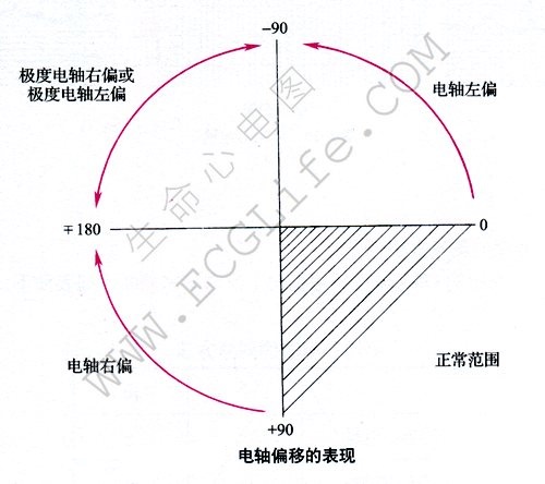 平均心电轴的测量方法