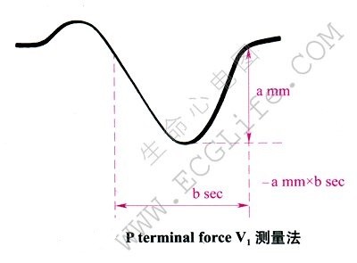 P terminal force V1测量法