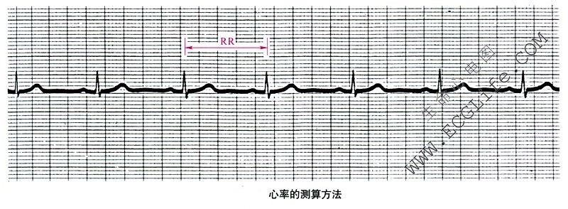 心率的测量方法