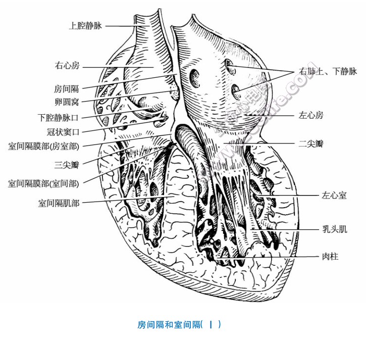 心的房间沟位置图片图片