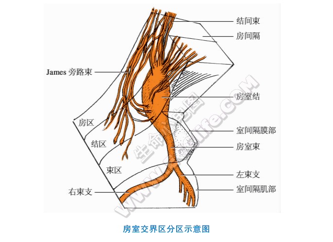 方式交界区模型示意图