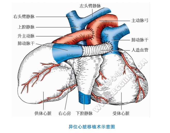 心的房间沟位置图片图片