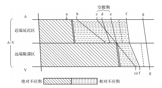 空隙现象的分层阻滞学说示意图