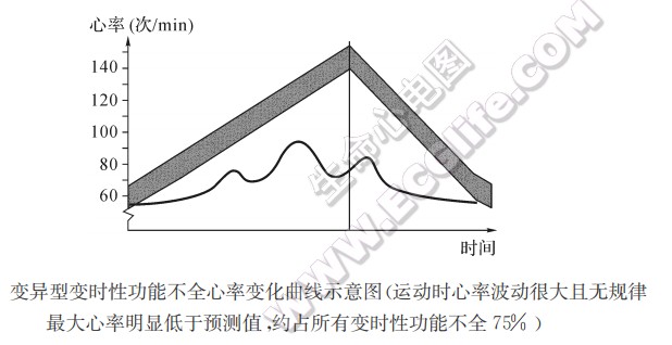 变异型变时性功能不全心率变化曲线示意图