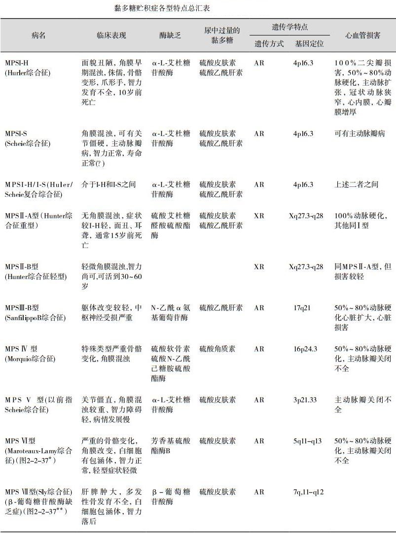 黏多糖贮积症各型特点表