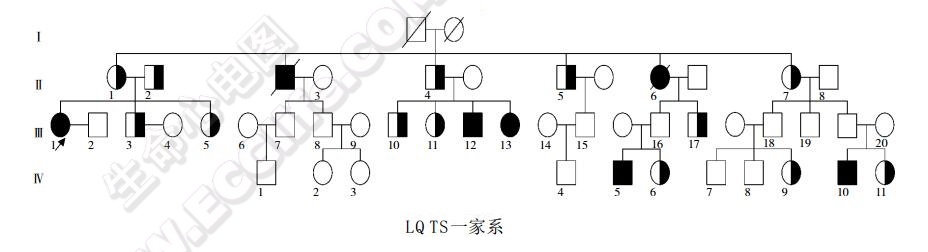 LQTS一家系谱