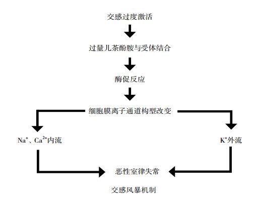 交感风暴发生机制