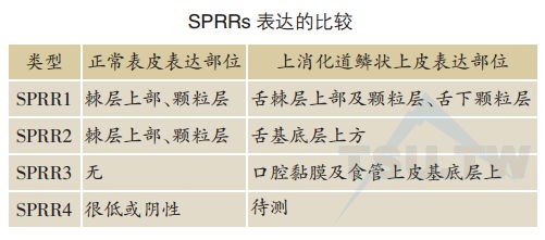 SPRRs表达的比较