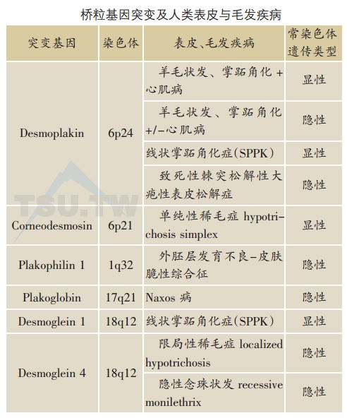 桥粒基因突变及人类表皮与毛发疾病