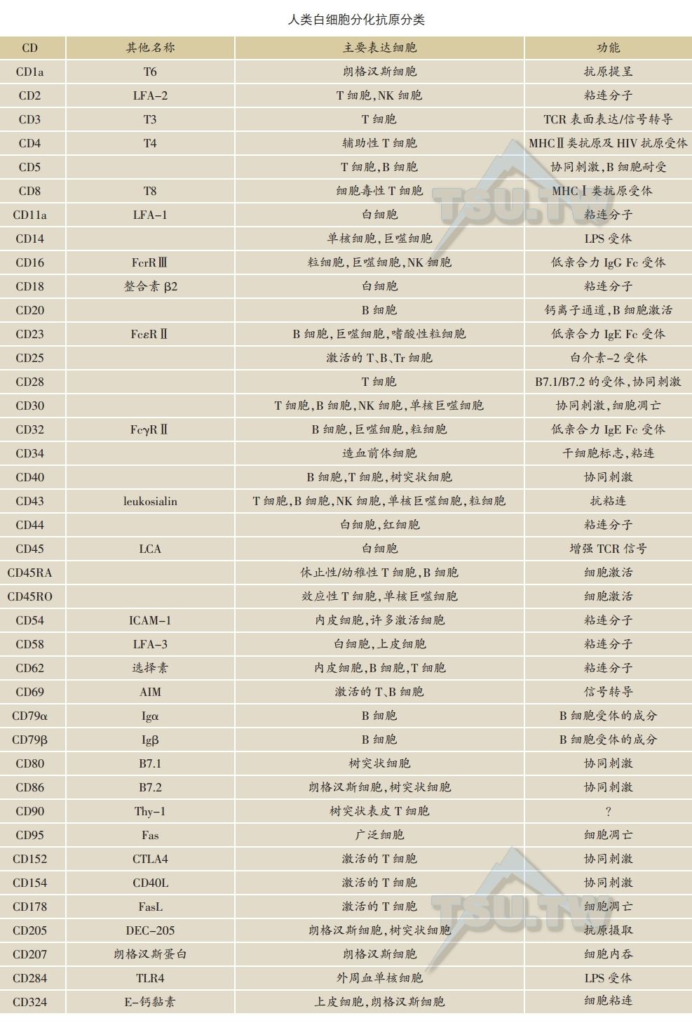 人类白细胞分化抗原分类表