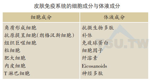 皮肤免疫系统的细胞成分与体液成分