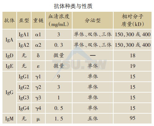 抗体种类与性质