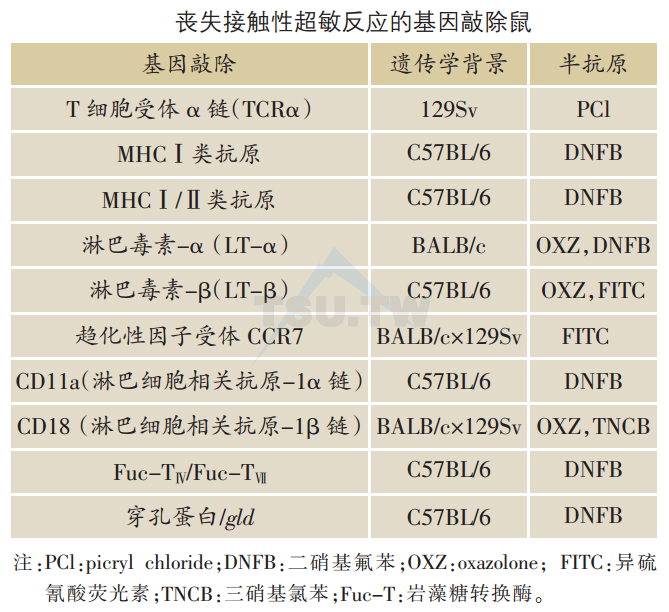 丧失接触性超敏反应的基因敲除鼠