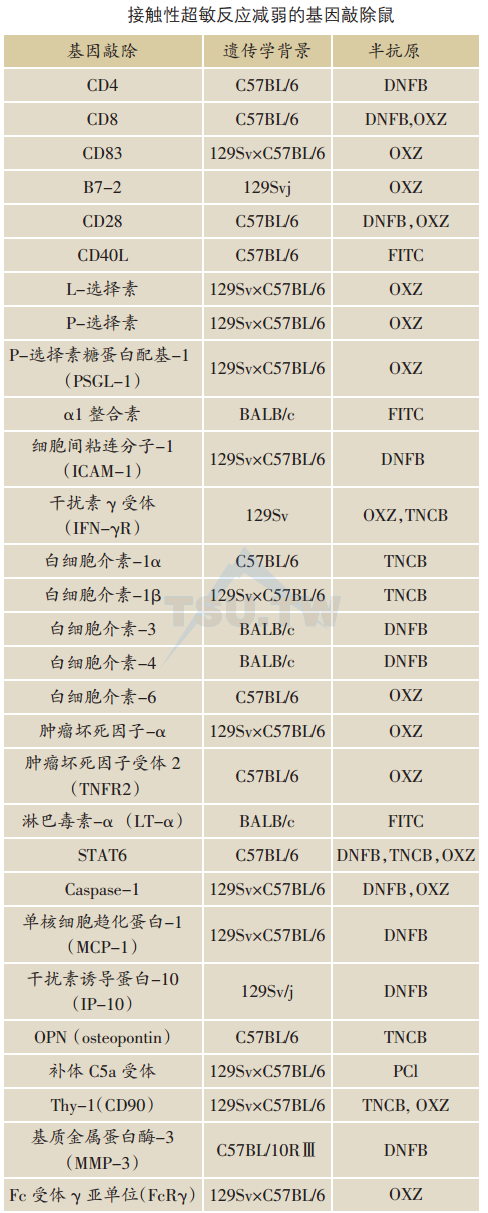 接触性超敏反应减弱的基因敲除鼠