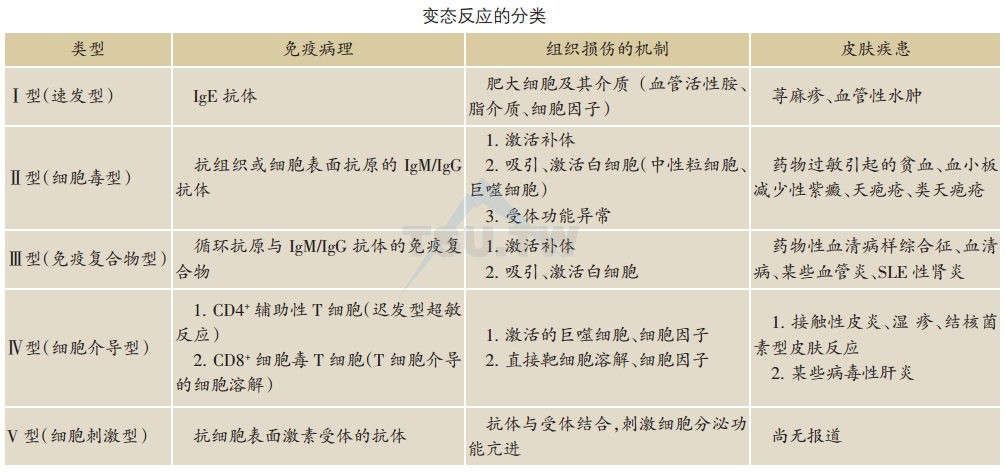 变态反应（超敏反应、过敏反应）