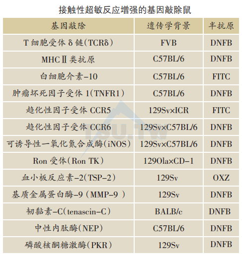 接触性超敏反应增强的基因敲除鼠