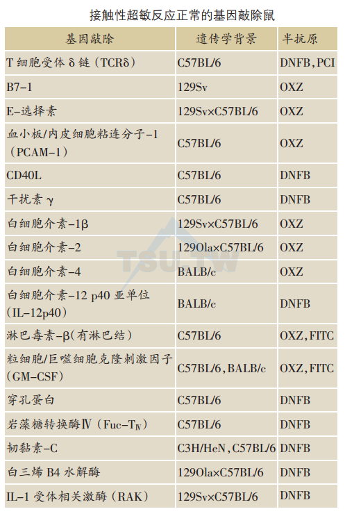 接触性超敏反应正常的基因敲除鼠