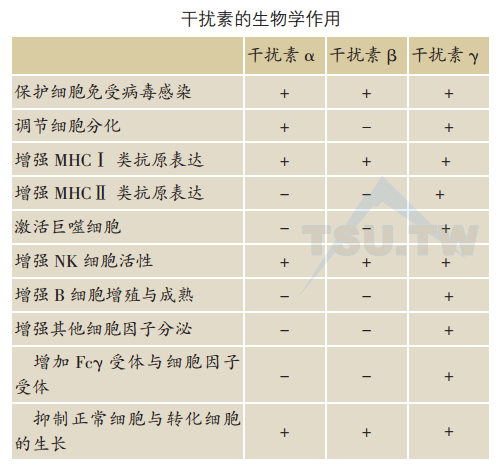 干扰素的生物学作用