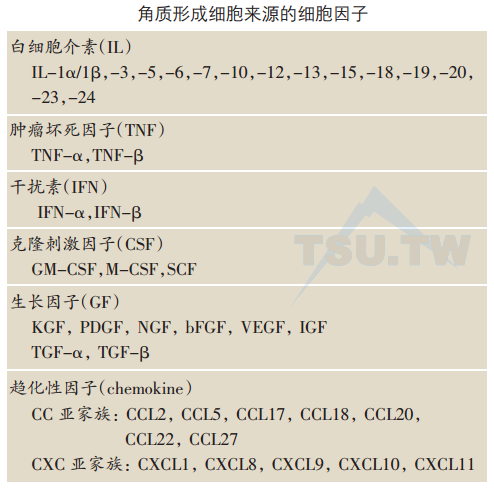 角质形成细胞来源的细胞因子