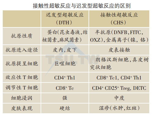 接触性超敏反应与迟发型超敏反应的区别