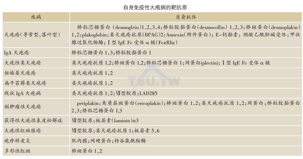 自身免疫性大疱病的靶抗原