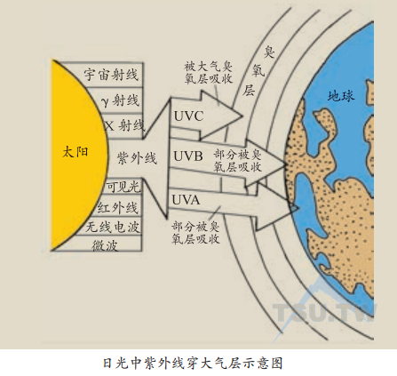 日光中紫外线穿大气层示意图