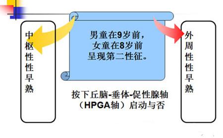 男性性早熟的发病机制及症状表现