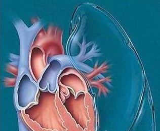 心脏心钠素（心房钠尿肽、ANP）