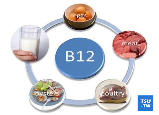 维生素B12（钴胺素）认知详解