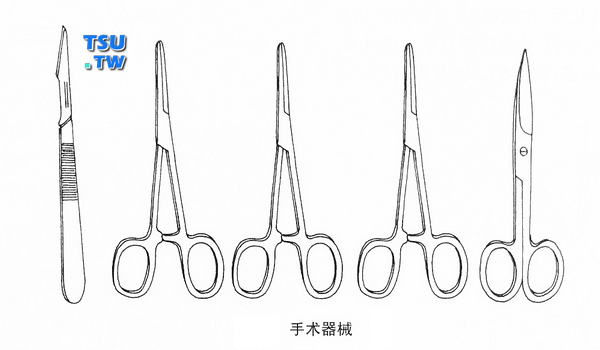 割包皮手术用工具