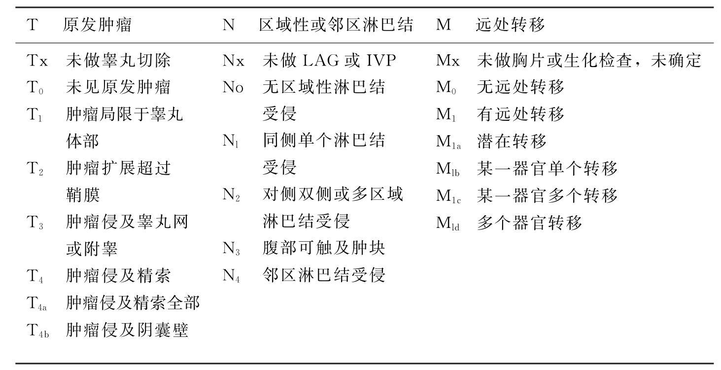 睾丸肿瘤的诊断及治疗