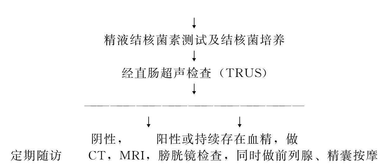 血精的检查程序