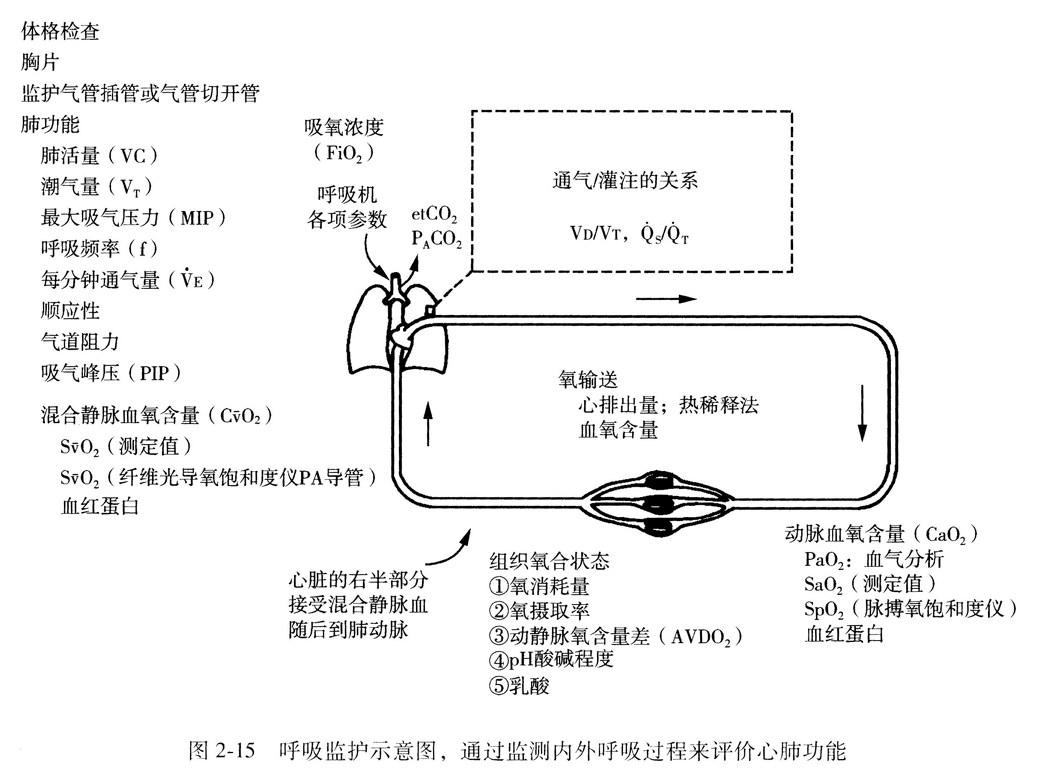 呼吸监护示意图，通过监测内外呼吸过程来评价心肺功能