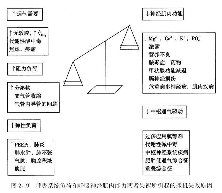 呼吸系统负荷和J|乎吸神经肌肉能力两者火衡所引起的撒机失败原因