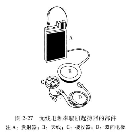 无线电频率膈肌起搏器的部件