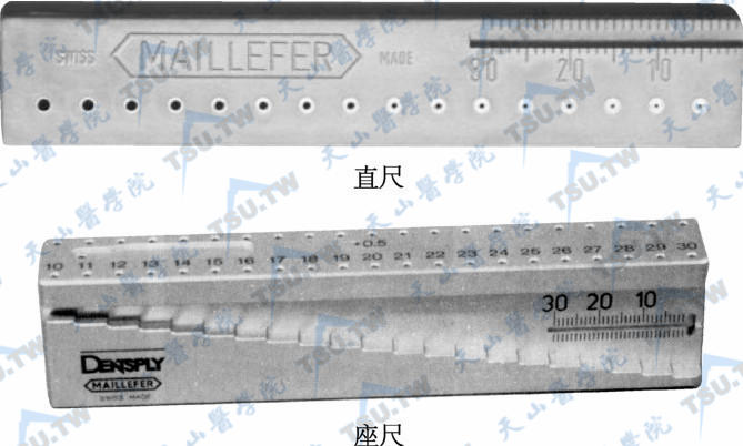 根管长度测量尺