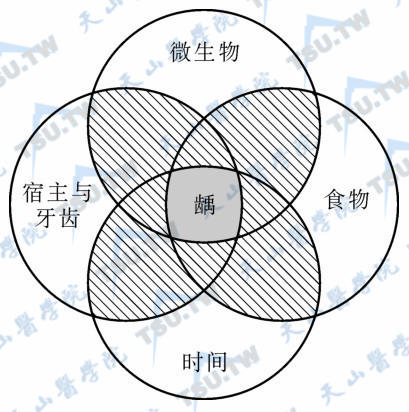 致龋四联因素