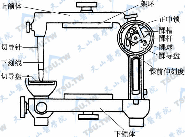 Hanau H型可调节牙合架