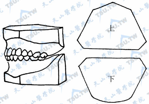 研究模型