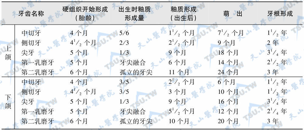 乳牙发育时间表