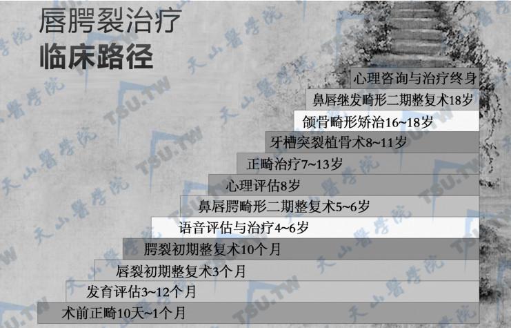 唇腭裂序列治疗流程图