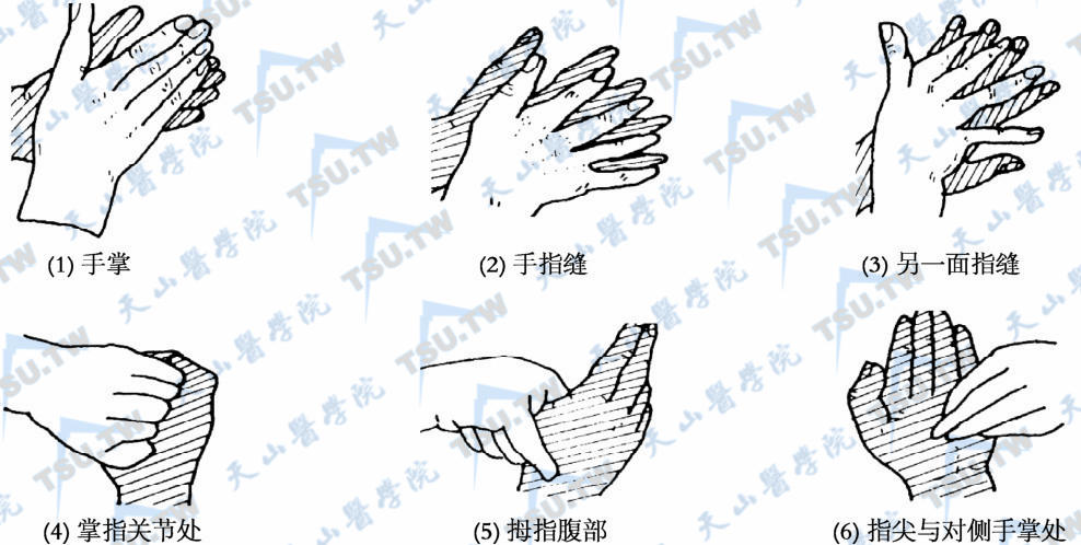 建议使用的洗手顺序