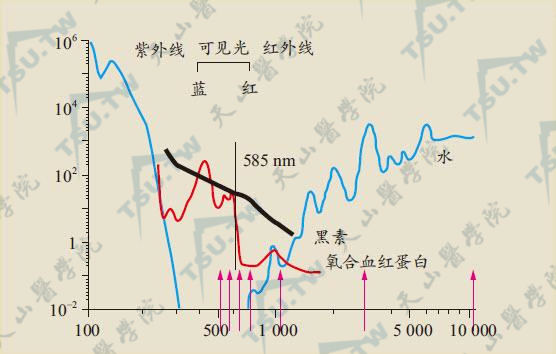 皮肤的激光疗法（详解）