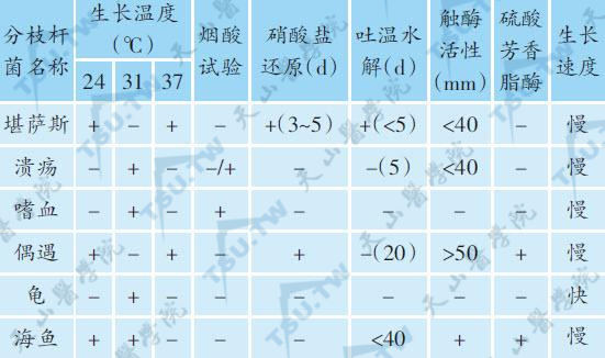 部分非典型分枝杆菌主要特征