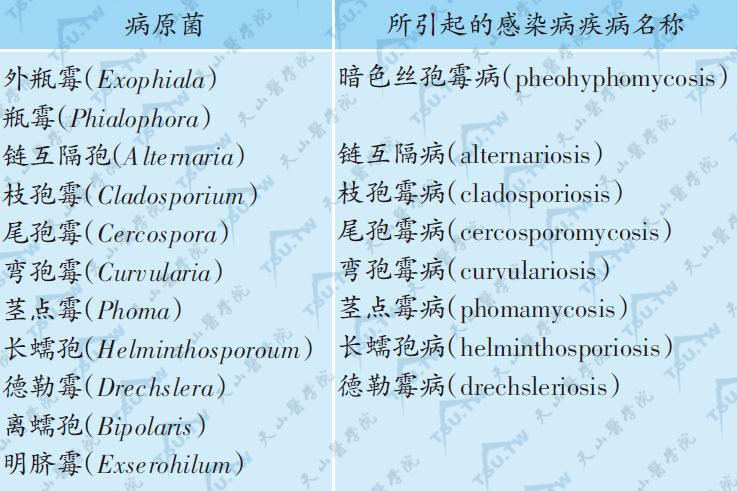 引起暗色丝孢霉病的病原菌及其病名