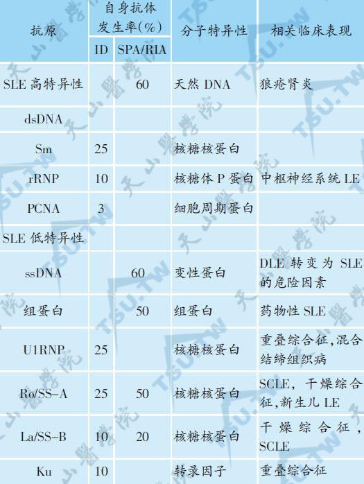 SLE相关自身抗体