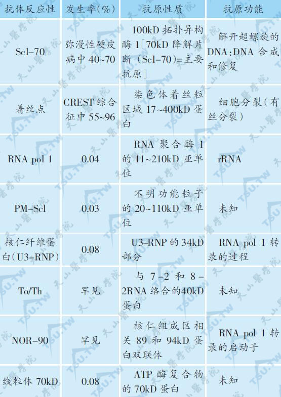 硬皮病的自身抗体